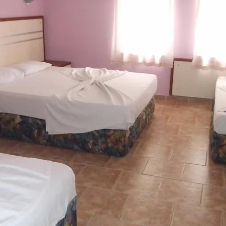 Hotel Polen 3*